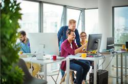 People Working In Office