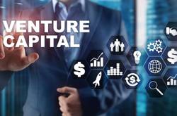 Venture Capital Cover Page