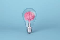 Lightbulb With Brain Inside