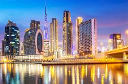 Dubai Free Zone Company Area 