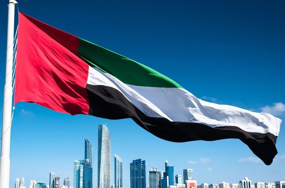 How to Check Your Free Zone Visa Status in the UAE