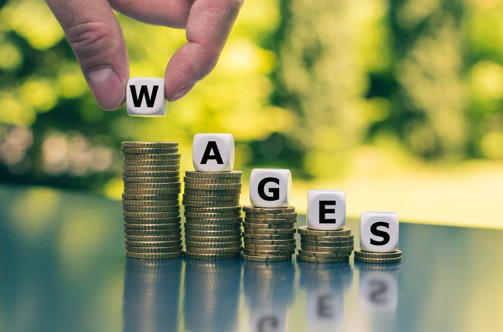 The Wage Protection System (WPS) in the UAE: An In-Depth Guide for Free Zone Entrepreneurs